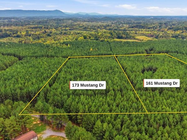 173 Mustang Drive, Calhoun, TN 37309