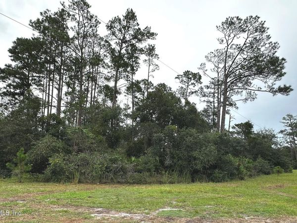 201 TAMARAC Court, Georgetown, FL 32139