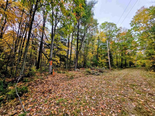 Blue Trail, Bath, NH 03740
