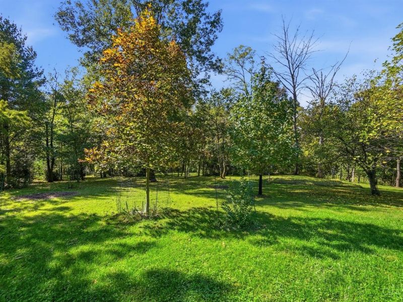 3653 Powner Road, Green Township, OH 45248 Photo 71
