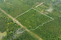 Mcduffie Ln photo 4