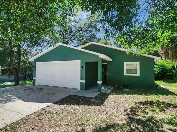 3419 E DIANA STREET , TAMPA, FL 33610