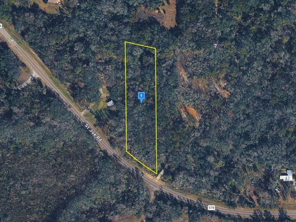 33901 ST JOE ROAD , DADE CITY, FL 33525