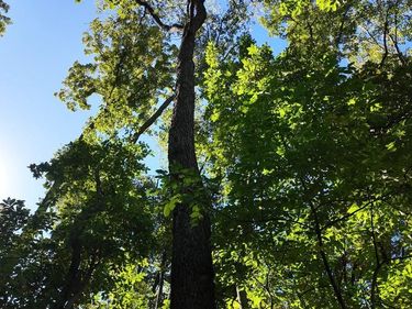 HIGH TOP ROAD, LINDEN, VA 22642