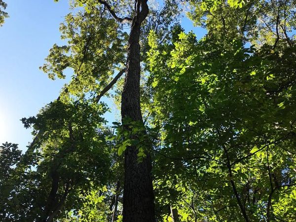 HIGH TOP ROAD, LINDEN, VA 22642
