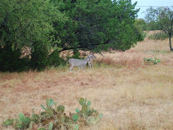 42201 Preston Trail , Whitney, TX 76692