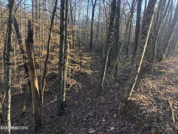 0 Yellowwood Drive , Unit 54&55&71, Sevierville, TN 37876