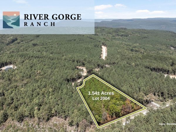 2004 Stardust Court , Unit 2004, Guild, TN 37340