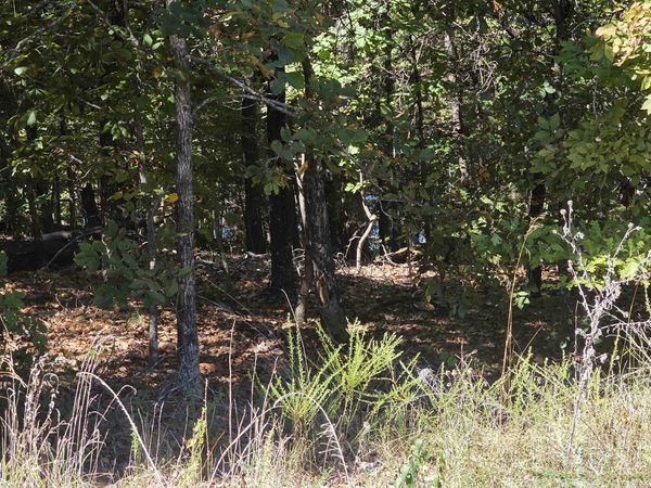 L-78, B-2 San Juan Trail , Cherokee Village, AR 72529
