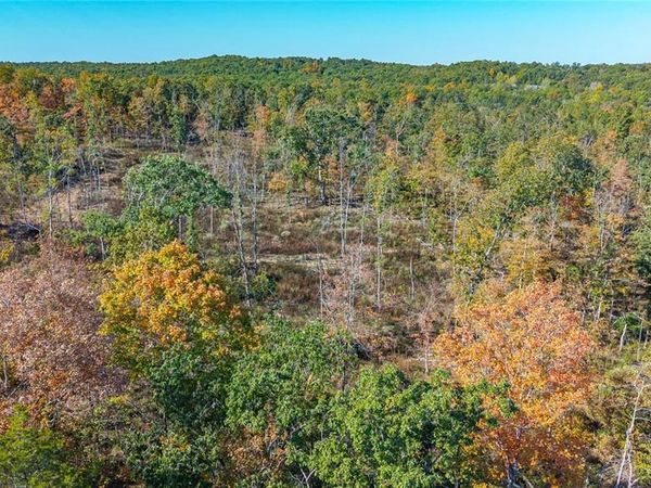 3 Mill Street , Potosi, MO 63664