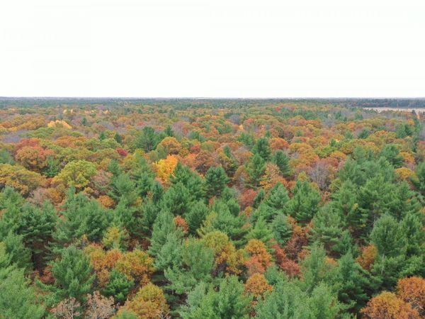 XXX Benson Road , Grantsburg, WI 54840