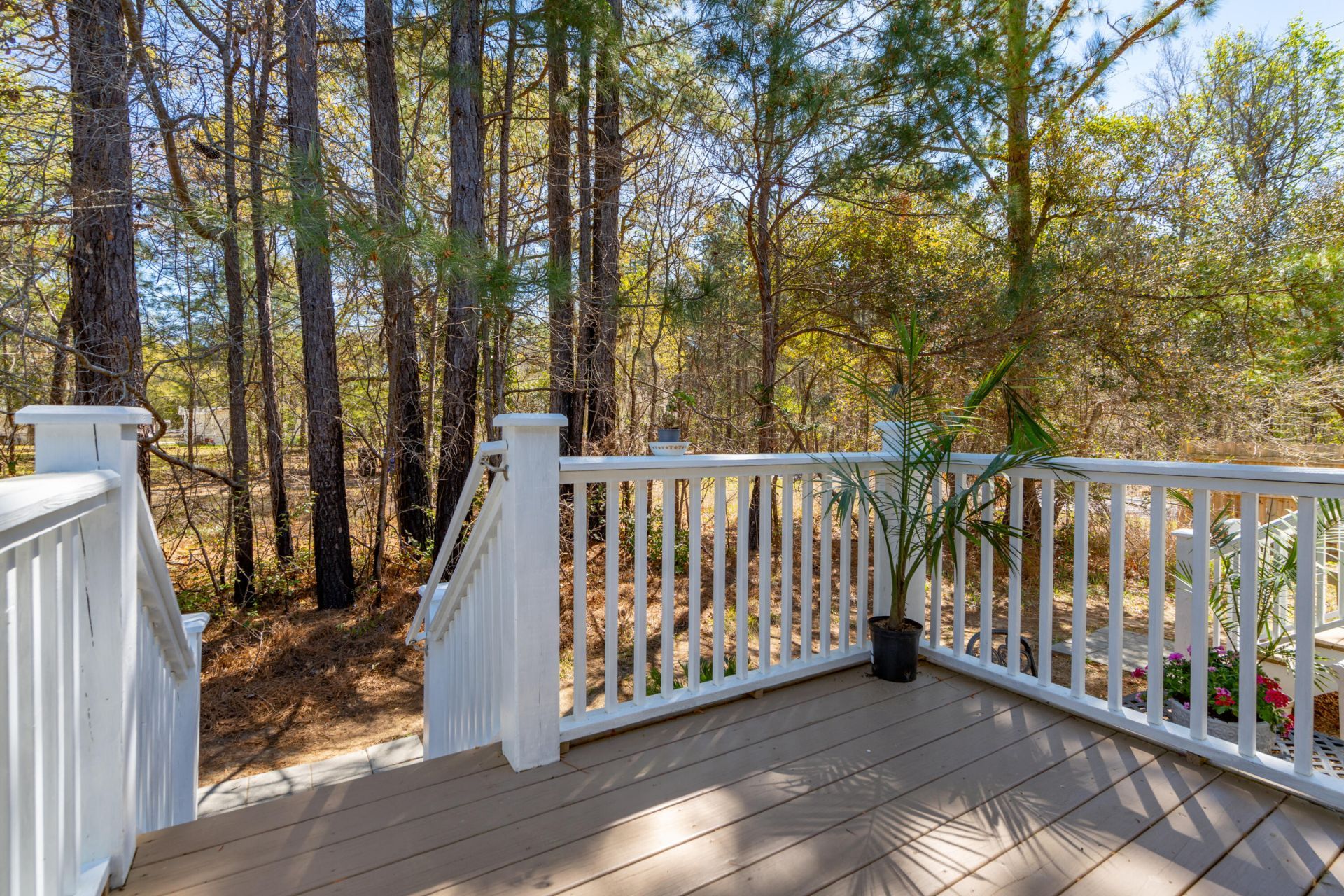 5638 Dixie Plantation Road Photo 14