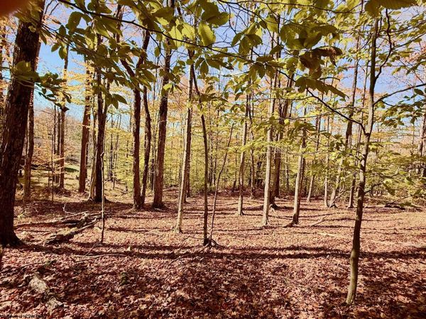 Lot 90 Mountainside Road, Davis, WV 26260