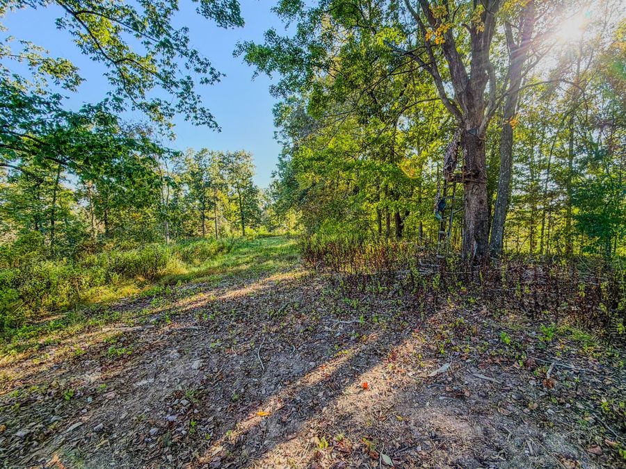 Property Image 60