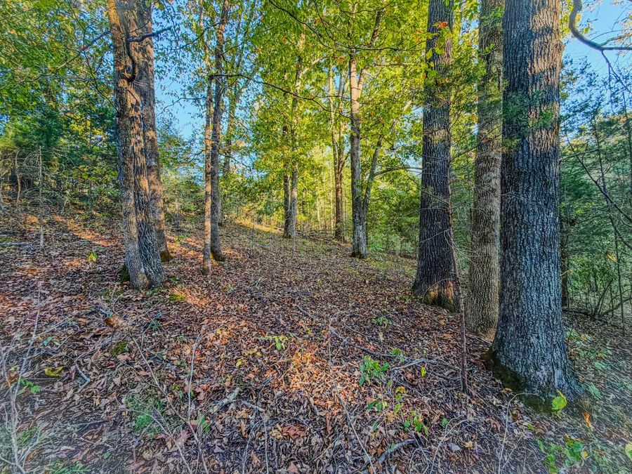 Property Image 63