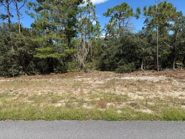 3039 W NAEGELIA PLACE , CITRUS SPRINGS, FL 34433