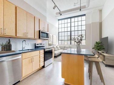 1010 S 7th Street , Unit 425, Minneapolis, MN 55415