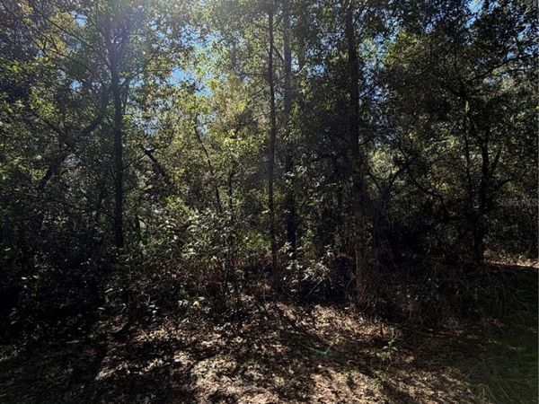 TBD SW 151ST PLACE , DUNNELLON, FL 34432
