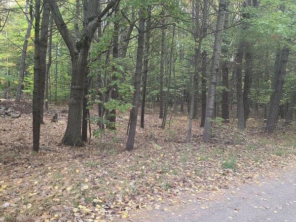 6520 Maple Street, Ludington, MI 49431