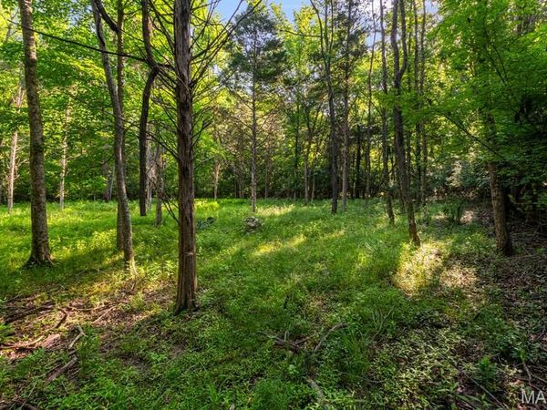 3701 Bear Tooth Lane , Wildwood, MO 63069