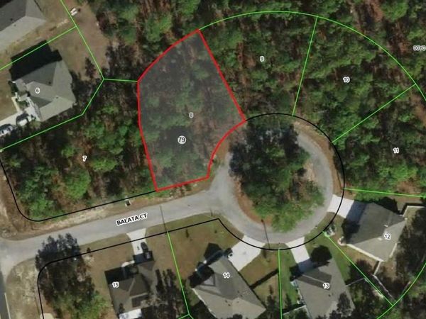 4 BALATA COURT , HOMOSASSA, FL 34446