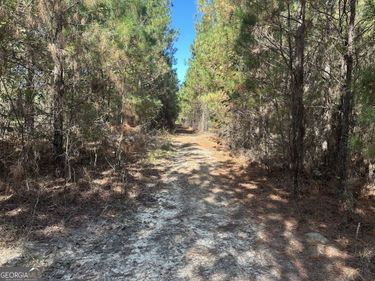 1001 Millen-Hiltonia Road, Sylvania, GA 30467