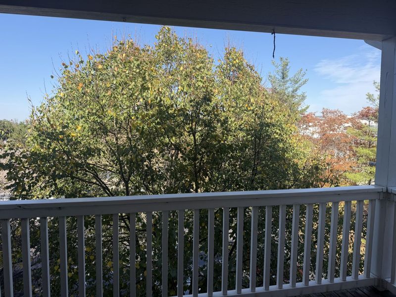 146 Saddlebrook Lane, Unit 584, Union, KY 41091 Photo 8