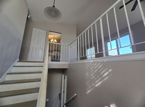 Main Photo