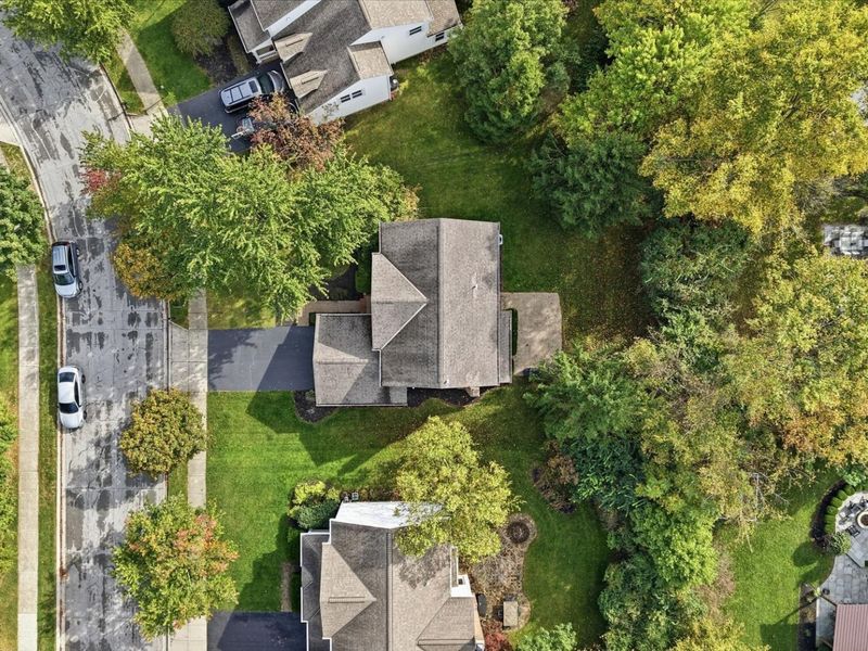 207 Tyler Creek Drive, Powell, OH 43065 Photo 13