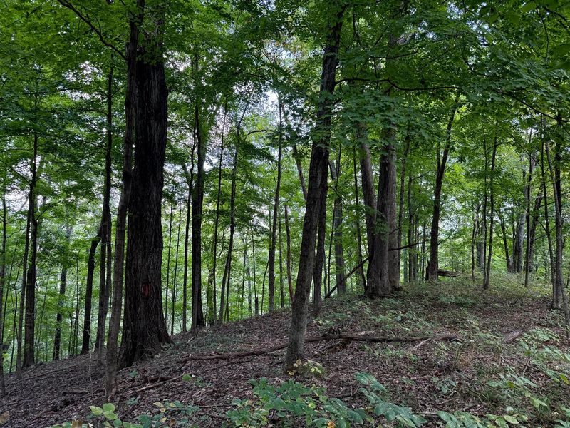 3770 Woodlane Drive, Unit (Woodlane, Nelsonville, OH 45764 Photo 6