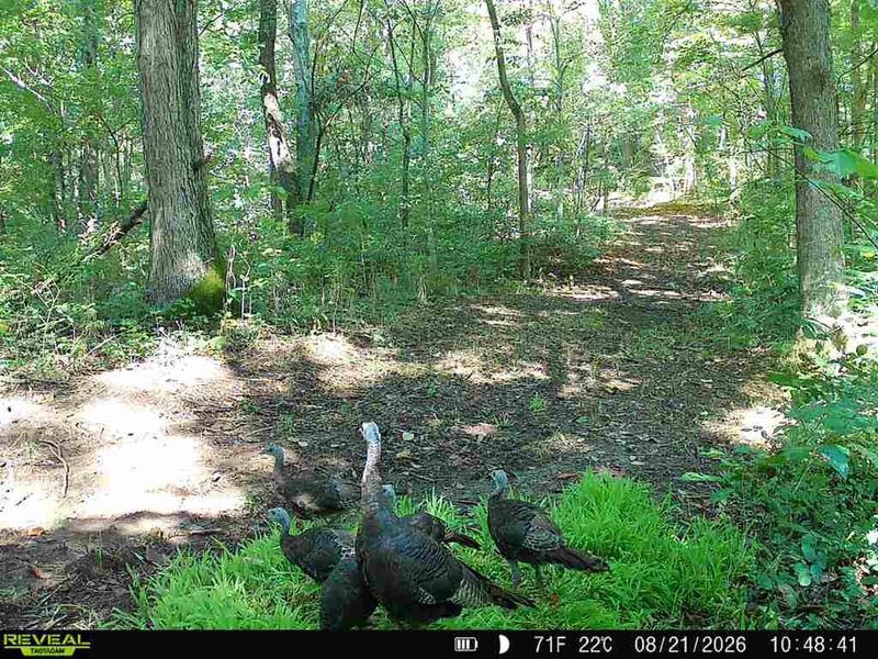 3770 Woodlane Drive, Unit (Woodlane, Nelsonville, OH 45764 Photo 8