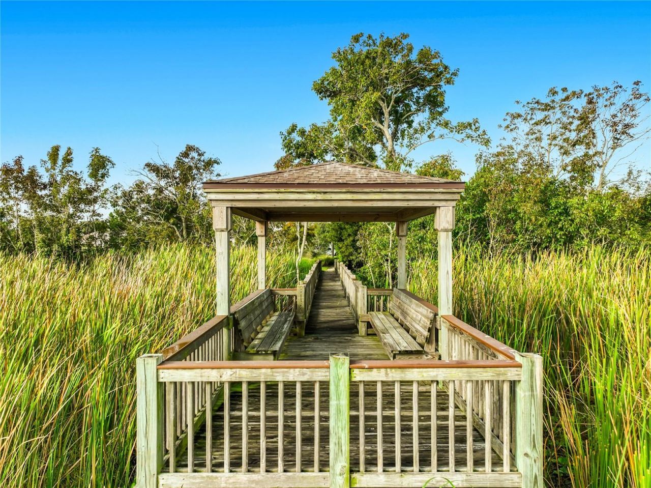 1213 Foltz Loop, Oakland, FL 34787 Photo