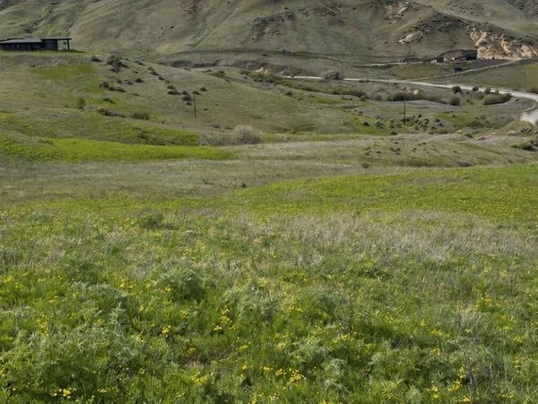 164 Summit Ridge Road, Horseshoe Bend, ID 83629