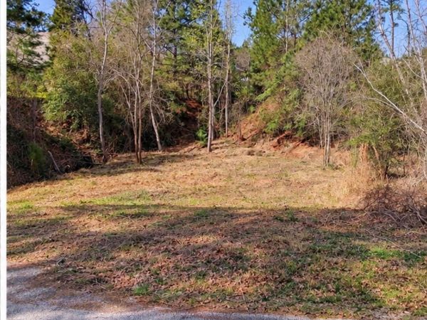 0 N Kanaio DR, Bastrop, TX 78602