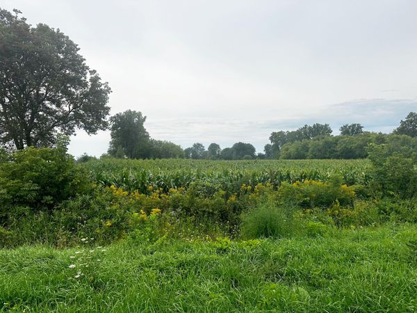 11555 78th Avenue, Allendale, MI 49401