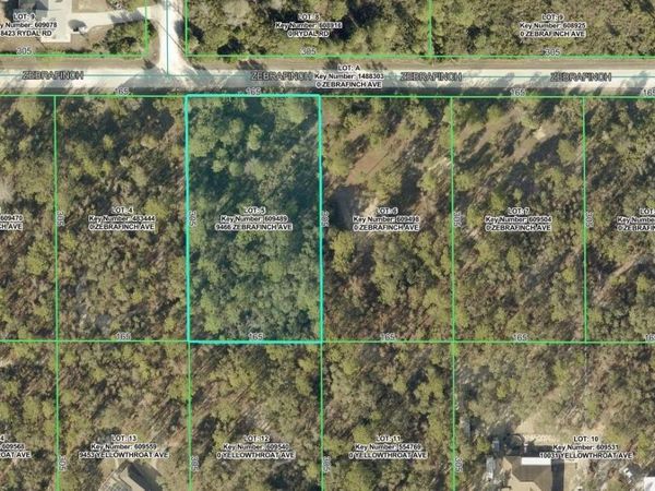 9466 ZEBRAFINCH AVENUE , WEEKI WACHEE, FL 34614