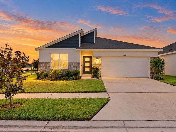 31938 TREASURE DOCK ISLE , WESLEY CHAPEL, FL 33545