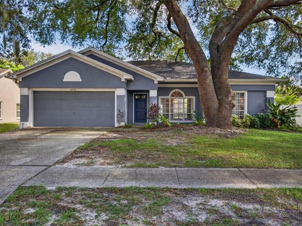 10306 EARLY MIST LANE , RIVERVIEW, FL 33569
