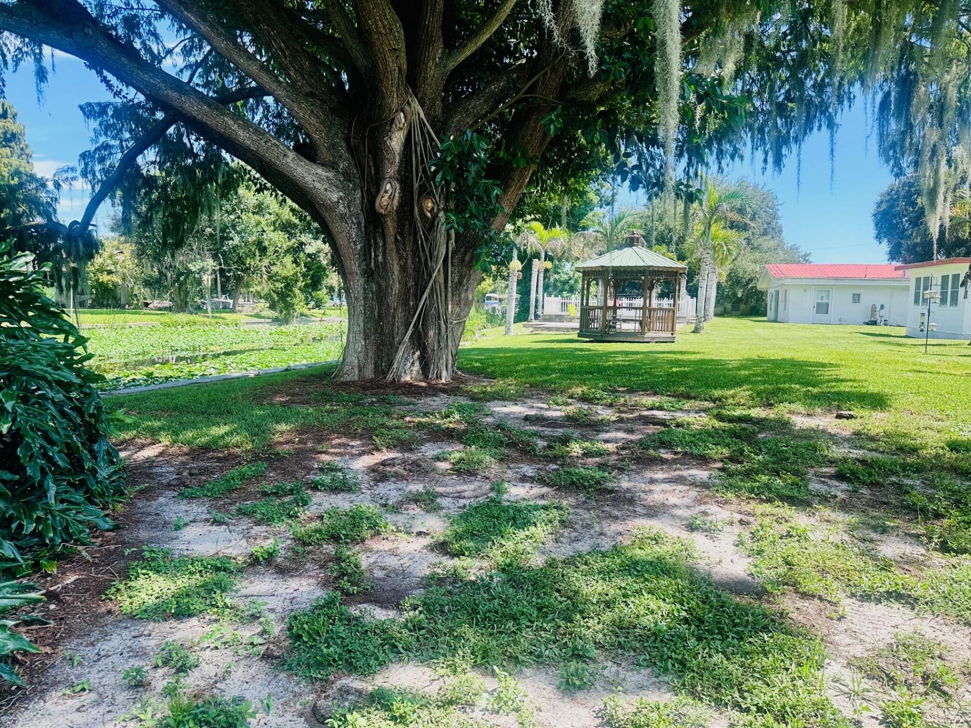 3113 SE 29th Lane, Okeechobee, FL 34974 Photo