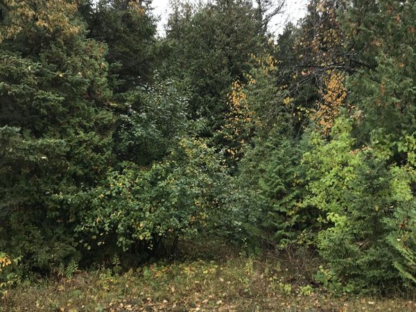 TBD Democrat RD, De Tour Village, MI 49725