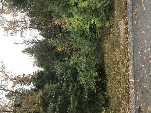 TBD Democrat RD, De Tour Village, MI 49725