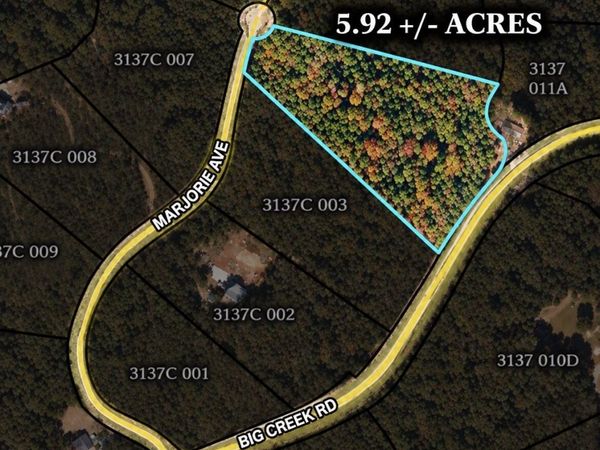 0 Marjorie Ave, Ellijay, GA 30536