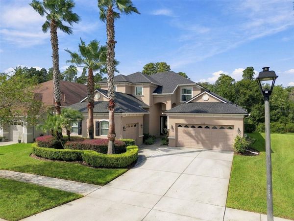 3339 DIAMOND FALLS CIRCLE , LAND O LAKES, FL 34638
