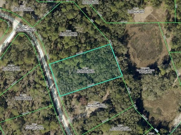 10497 YELLOWLEGS AVENUE , WEEKI WACHEE, FL 34614