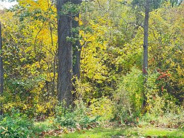 Ridge Road, Lewiston, NY 14092