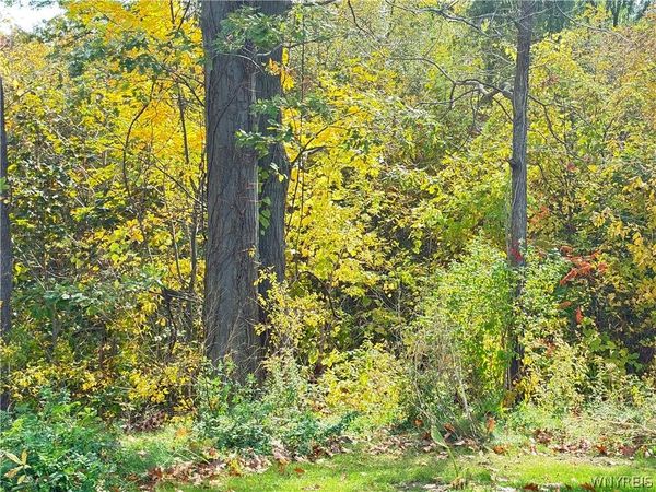 Ridge Road, Lewiston, NY 14092