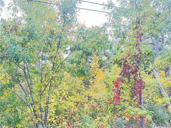 Ridge Road , Lewiston, NY 14092