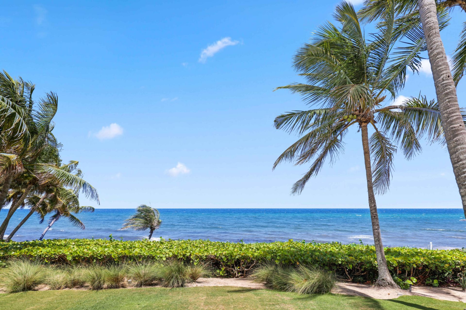 1083 Hillsboro Mile, Hillsboro Beach, FL 33062 Photo