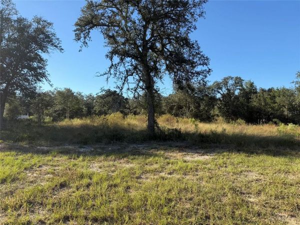 TBD NE 106TH TERRACE , BRONSON, FL 32621