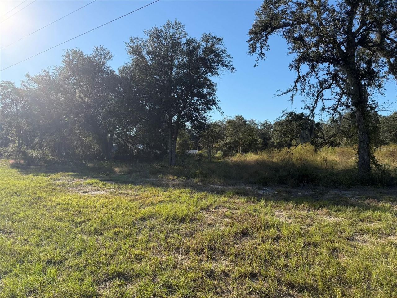 Tbd NE 106th Terrace , Bronson, FL 32621 Photo